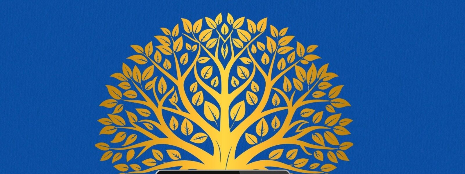 Initiation généalogie Le Moule 2025